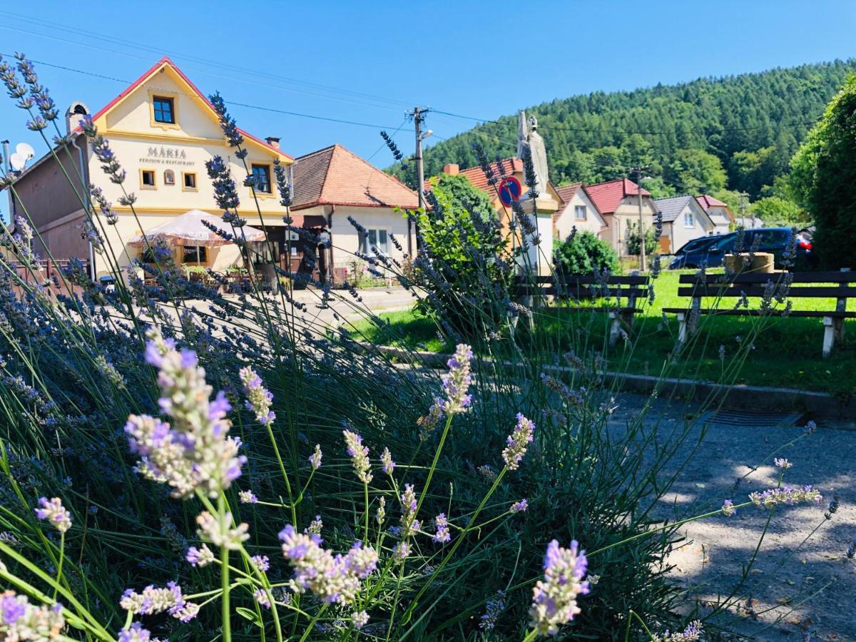 Maria Penzion & Restaurant Trenčín Eksteriør billede